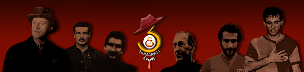 3 numaralı üye