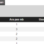 iç saha pas tipleri